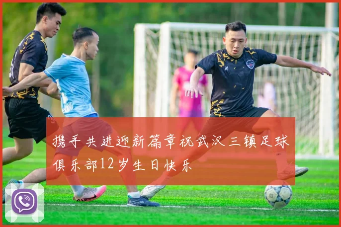 携手共进迎新篇章祝武汉三镇足球俱乐部12岁生日快乐