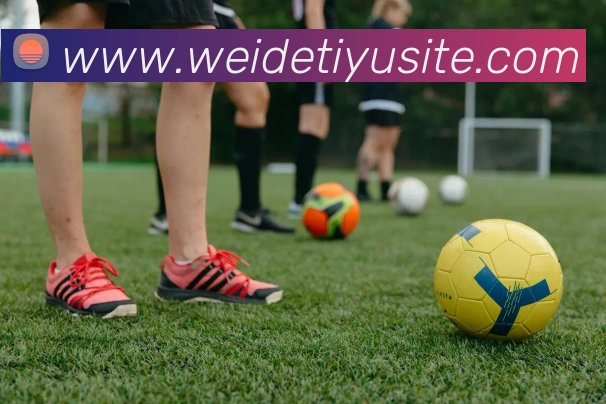 伟德体育服务体系