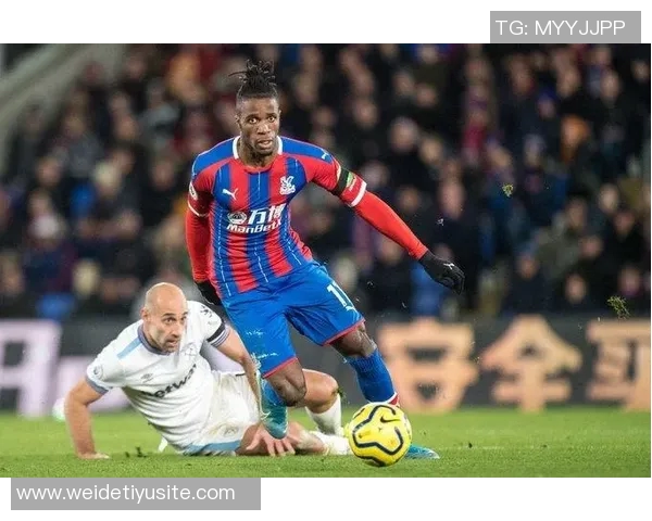 萨维切维奇建议米兰冬窗引进即战力前锋明夏再考虑签约DV9